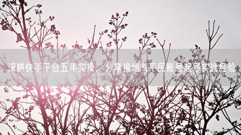 深耕快手平台五年实操,分享接地气平民账号起号实战经验