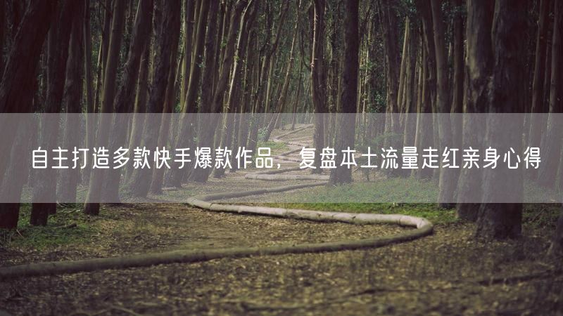 自主打造多款快手爆款作品,复盘本土流量走红亲身心得