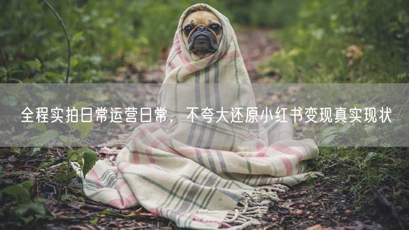 全程实拍日常运营日常,不夸大还原小红书变现真实现状
