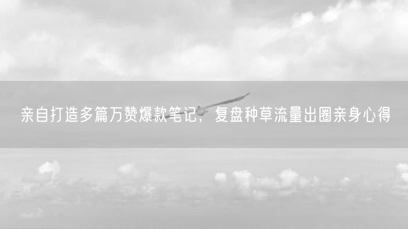 亲自打造多篇万赞爆款笔记,复盘种草流量出圈亲身心得