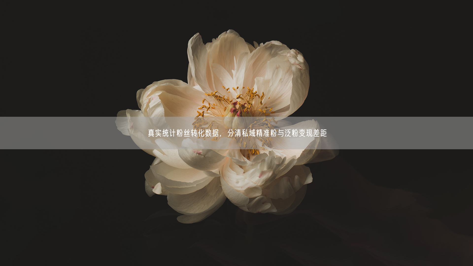 真实统计粉丝转化数据,分清私域精准粉与泛粉变现差距