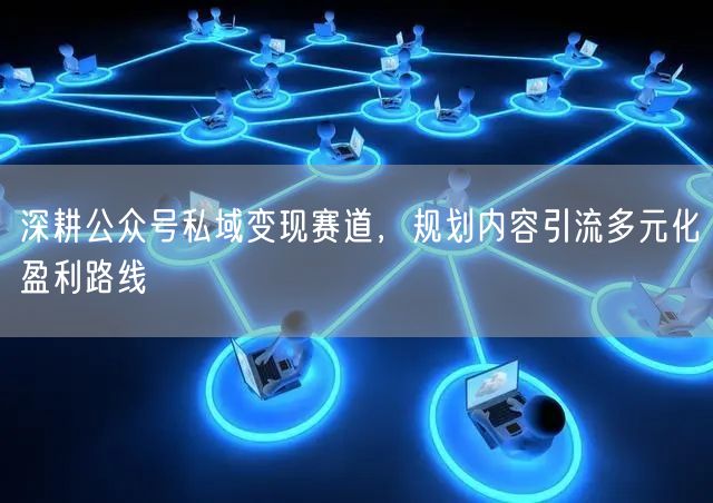 深耕公众号私域变现赛道，规划内容引流多元化盈利路线