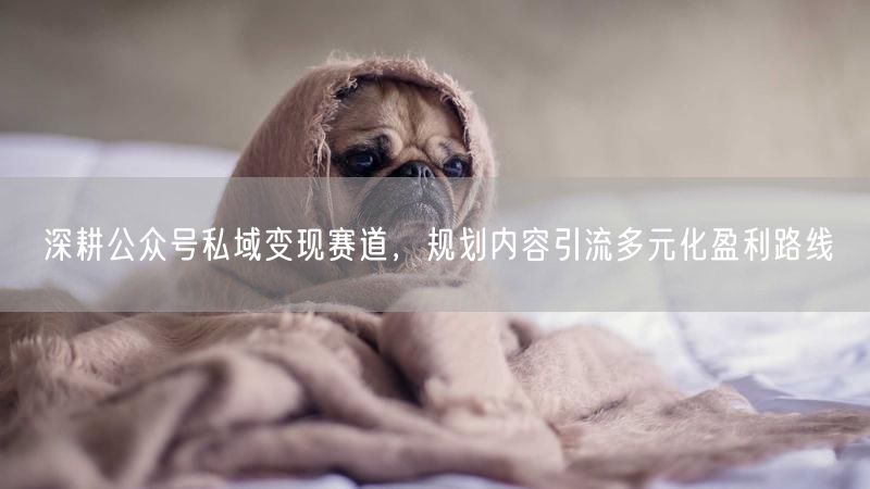 公众号私域变现：内容引流，构建多元盈利运营策略