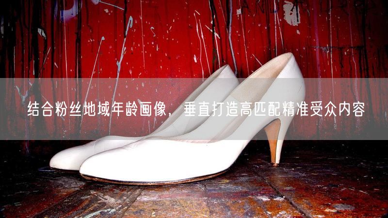 结合粉丝地域年龄画像，垂直打造精准受众内容
