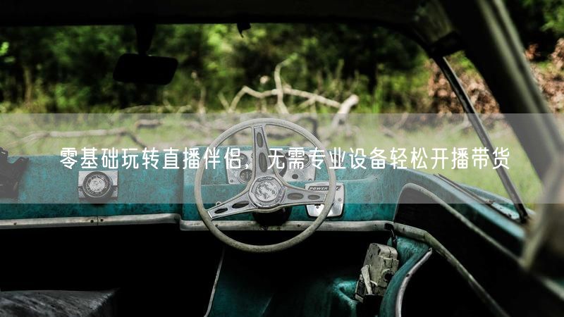 零基础必看！直播伴侣助力，无需设备轻松开播带货