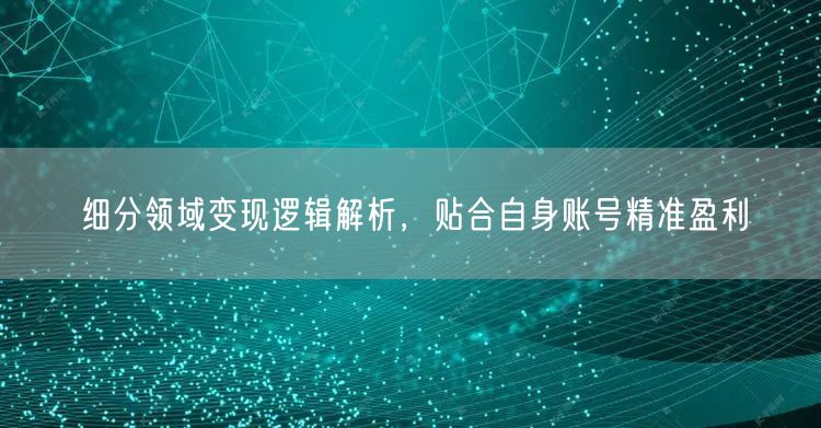 细分领域变现逻辑揭秘，精准盈利助力账号运营
