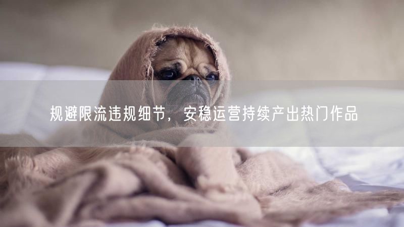 规避限流违规细节,安稳运营持续产出热门作品