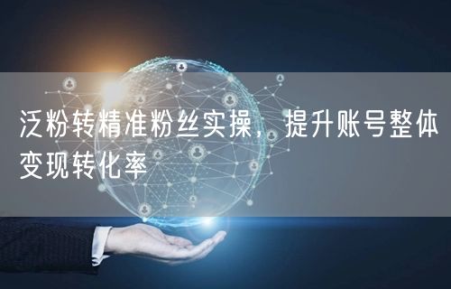 泛粉转精准粉丝全攻略：提升账号变现与转化率