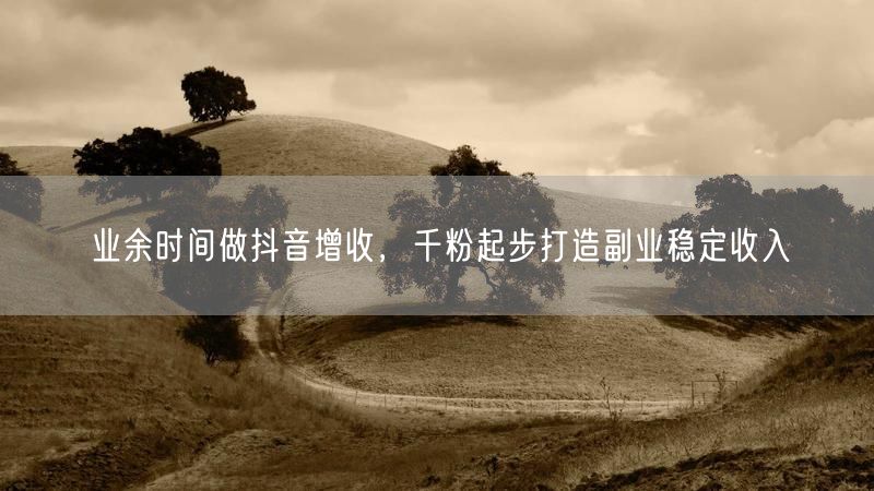业余时间做抖音增收，千粉起步打造副业稳定收入