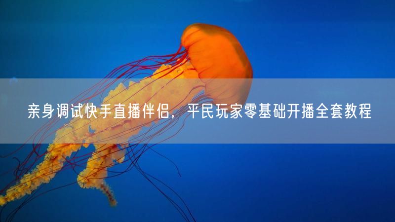 快手直播伴侣全攻略：平民玩家零基础开播教程