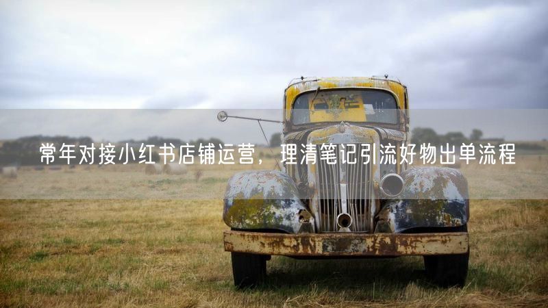 常年对接小红书店铺运营，理清笔记引流好物出单流程