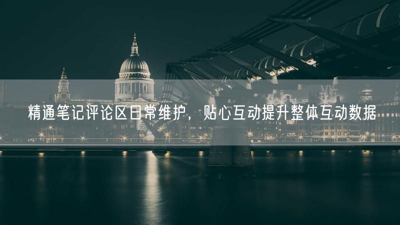 精通笔记评论区日常维护，贴心互动提升整体互动数据