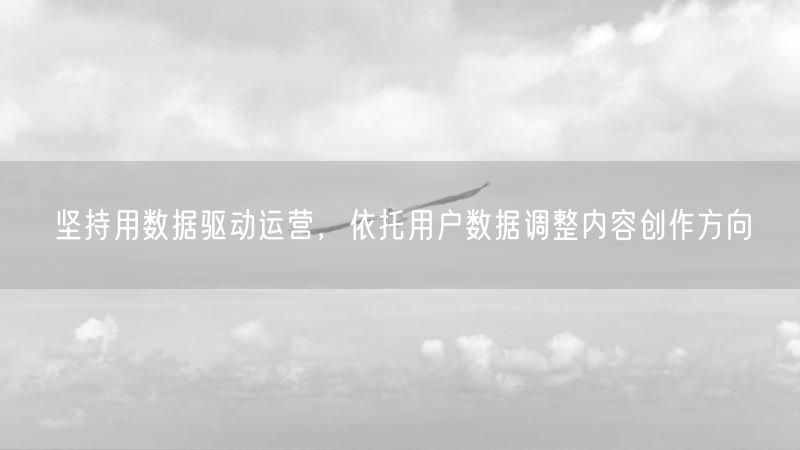 坚持用数据驱动运营，依托用户数据调整内容创作方向