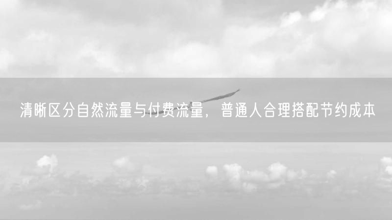清晰区分自然流量与付费流量，普通人合理搭配节约成本