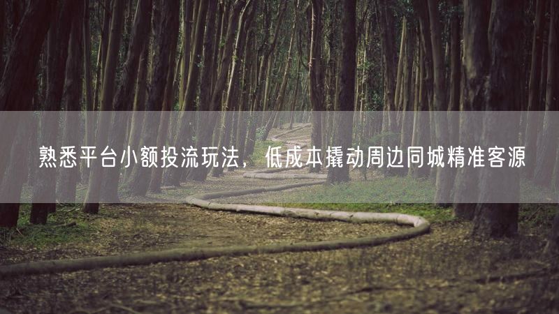 熟悉平台小额投流玩法，低成本撬动周边同城精准客源