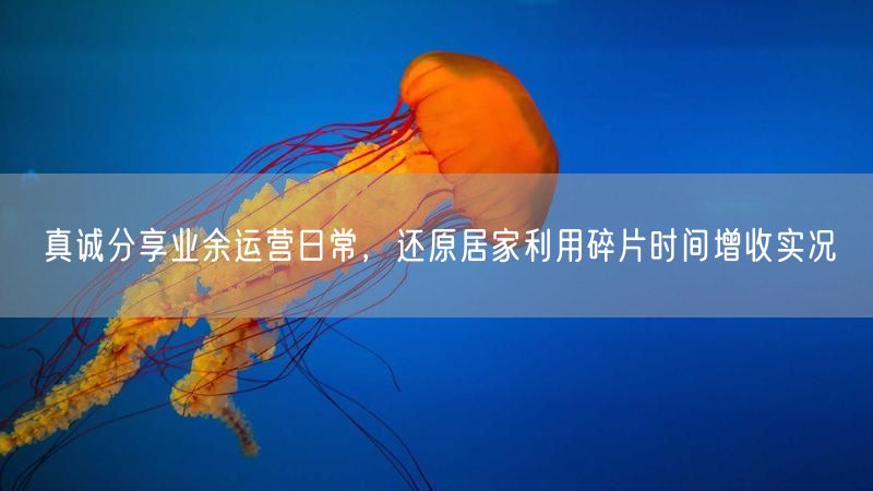 业余运营揭秘：居家巧用碎片时间高效增收