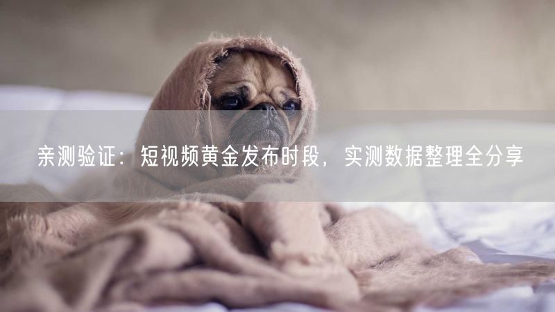 短视频发布黄金时段揭秘：实测数据解锁流量高峰