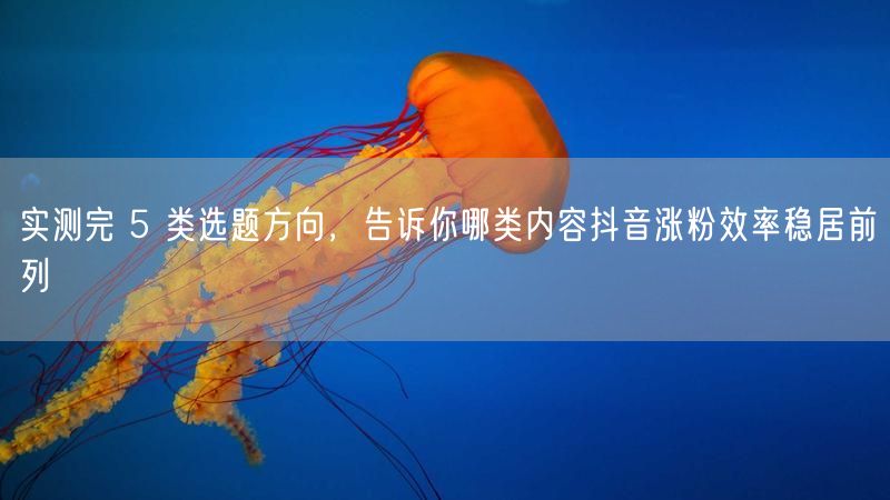 实测完 5 类选题方向，告诉你哪类内容抖音涨粉效率稳居前列