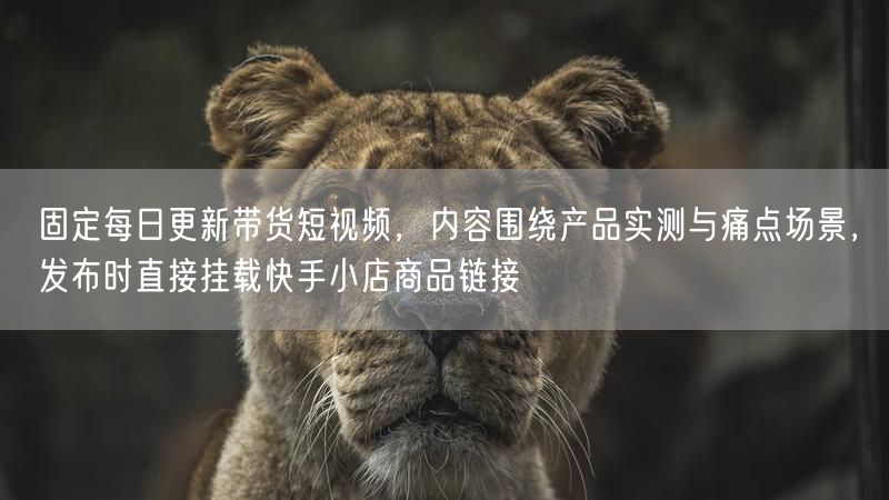 固定每日更新带货短视频,内容围绕产品实测与痛点场景,发布时直接挂载快手小店商品链接