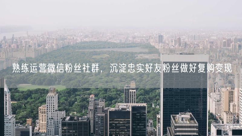 熟练运营微信粉丝社群，沉淀忠实好友粉丝做好复购变现