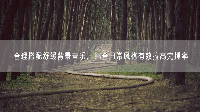 合理搭配舒缓背景音乐，贴合日常风格有效拉高完播率