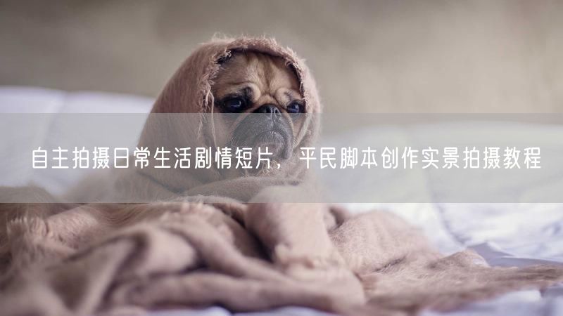 自主拍摄日常生活剧情短片，平民脚本创作实景拍摄教程