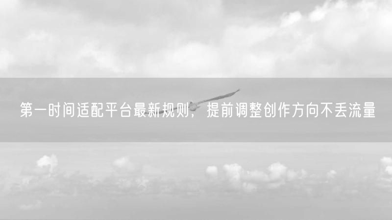 第一时间适配平台最新规则,提前调整创作方向不丢流量
