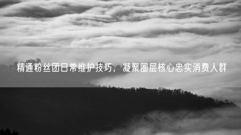 精通粉丝团日常维护技巧，凝聚圈层核心忠实消费人群