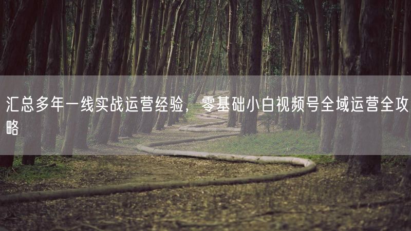 汇总多年一线实战运营经验，零基础小白视频号全域运营全攻略