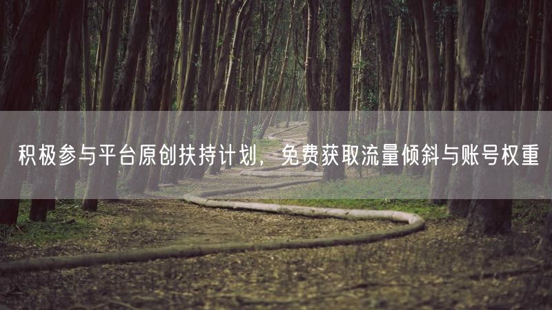 参与原创扶持计划，获流量倾斜与账号权重提升