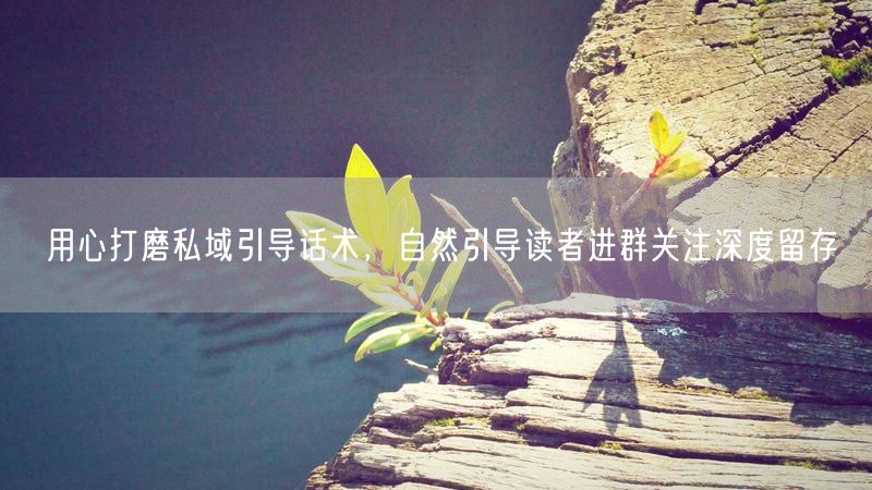 用心打磨私域引导话术,自然引导读者进群关注深度留存