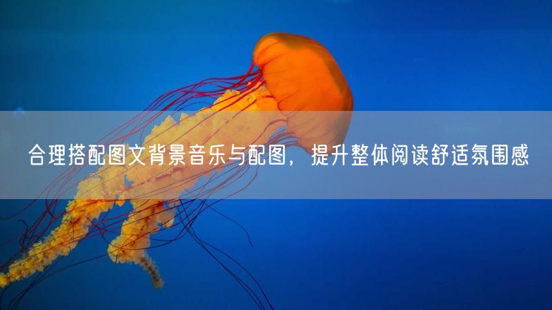 巧用图文搭配与配图选择，借背景音乐提升阅读氛围感