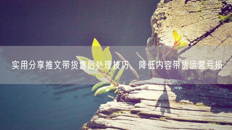 实用分享推文带货售后处理技巧,降低内容带货运营亏损