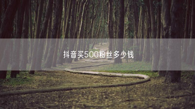 抖音买500粉丝多少钱