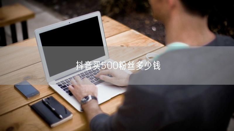 抖音买粉丝揭秘：500粉丝价格及买粉风险