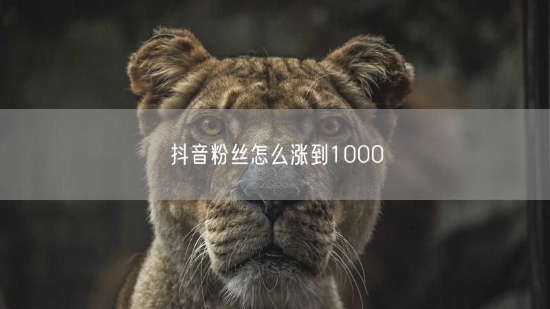 抖音涨粉秘籍：新手如何快速突破1000粉丝？