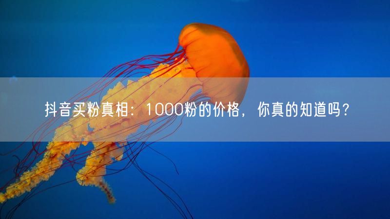 抖音买粉真相揭秘：1000粉价格与账号风险全解析
