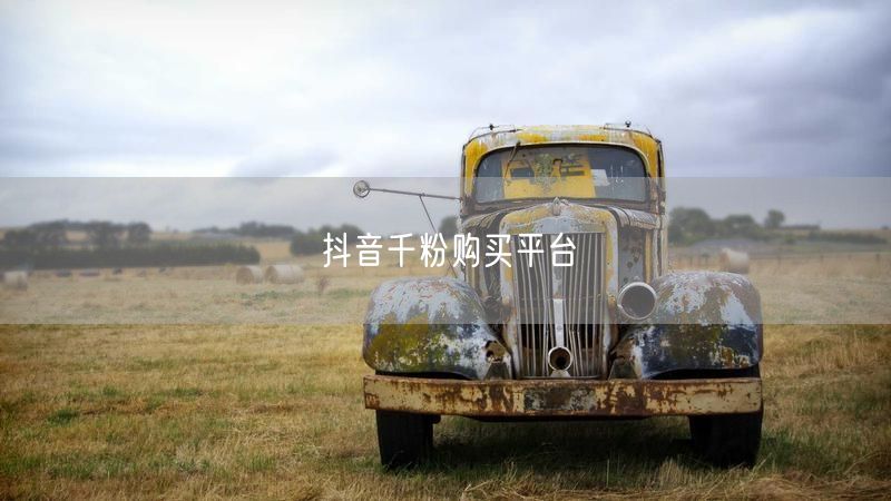 抖音涨粉秘籍：安全可靠平台选择，轻松实现千粉增长