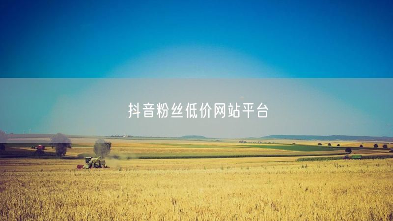 抖音粉丝低价平台：安全增粉新途径解析