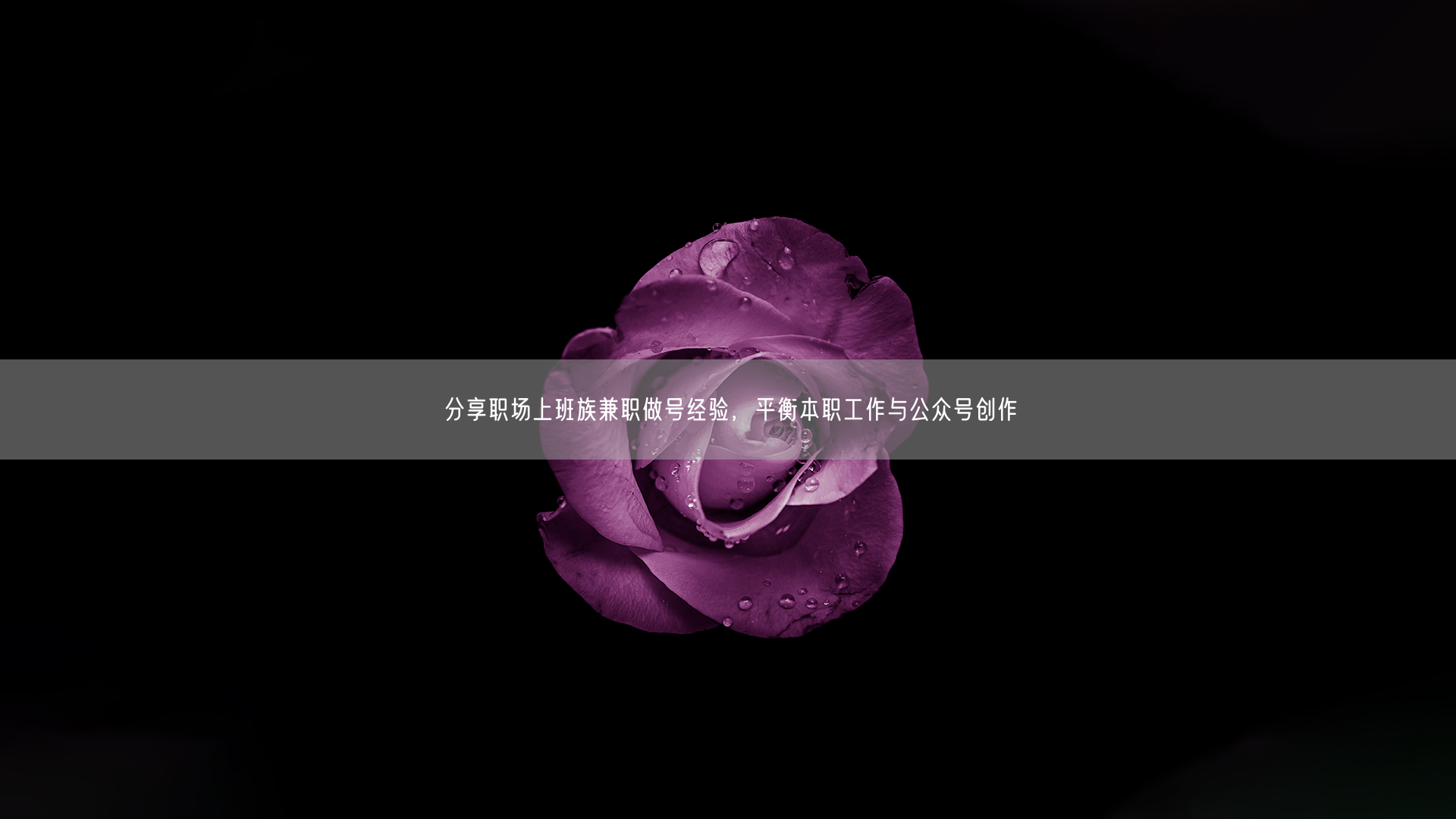 分享职场上班族兼职做号经验,平衡本职工作与公众号创作