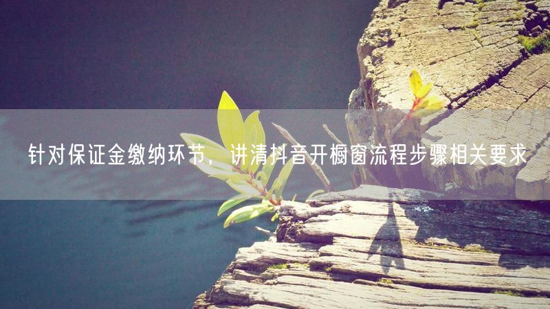 针对保证金缴纳环节，讲清抖音开橱窗流程步骤相关要求