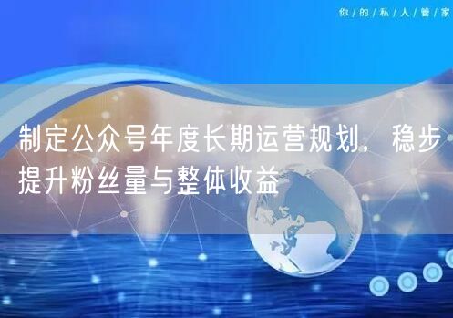 制定公众号年度长期运营规划，稳步提升粉丝量与整体收益