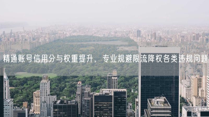 精通账号信用分与权重提升,专业规避限流降权各类违规问题