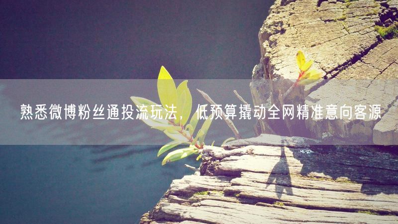 熟悉微博粉丝通投流玩法,低预算撬动全网精准意向客源