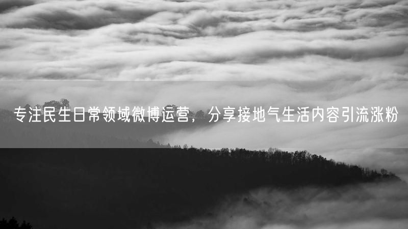 专注民生日常领域微博运营，分享接地气生活内容引流涨粉