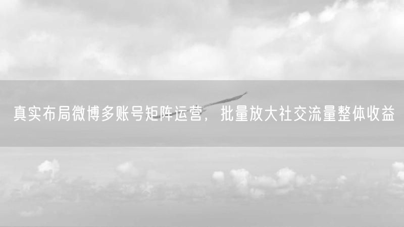 真实布局微博多账号矩阵运营，批量放大社交流量整体收益