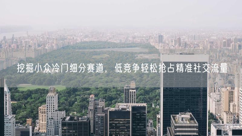 挖掘小众冷门细分赛道，低竞争轻松抢占精准社交流量