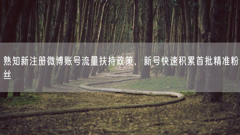 熟知新注册微博账号流量扶持政策，新号快速积累首批精准粉丝