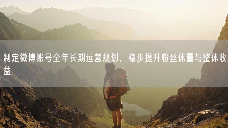 制定微博账号全年长期运营规划，稳步提升粉丝体量与整体收益