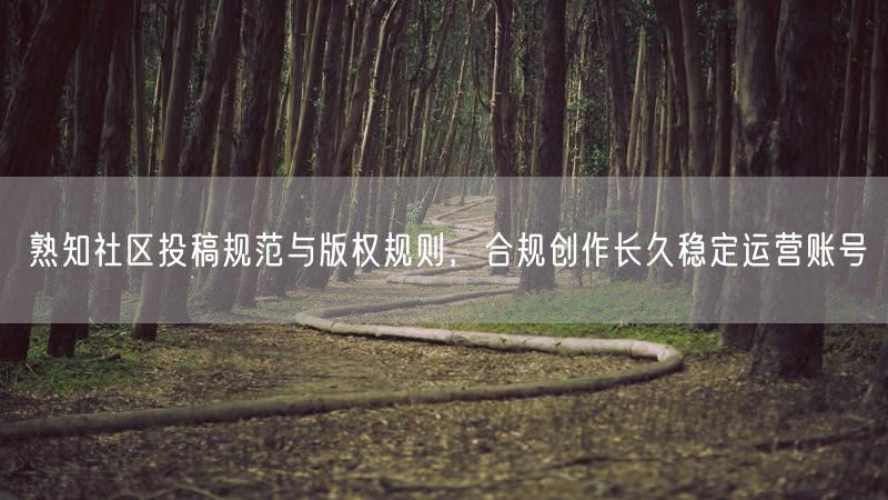 熟知社区投稿规范与版权规则，合规创作长久稳定运营账号